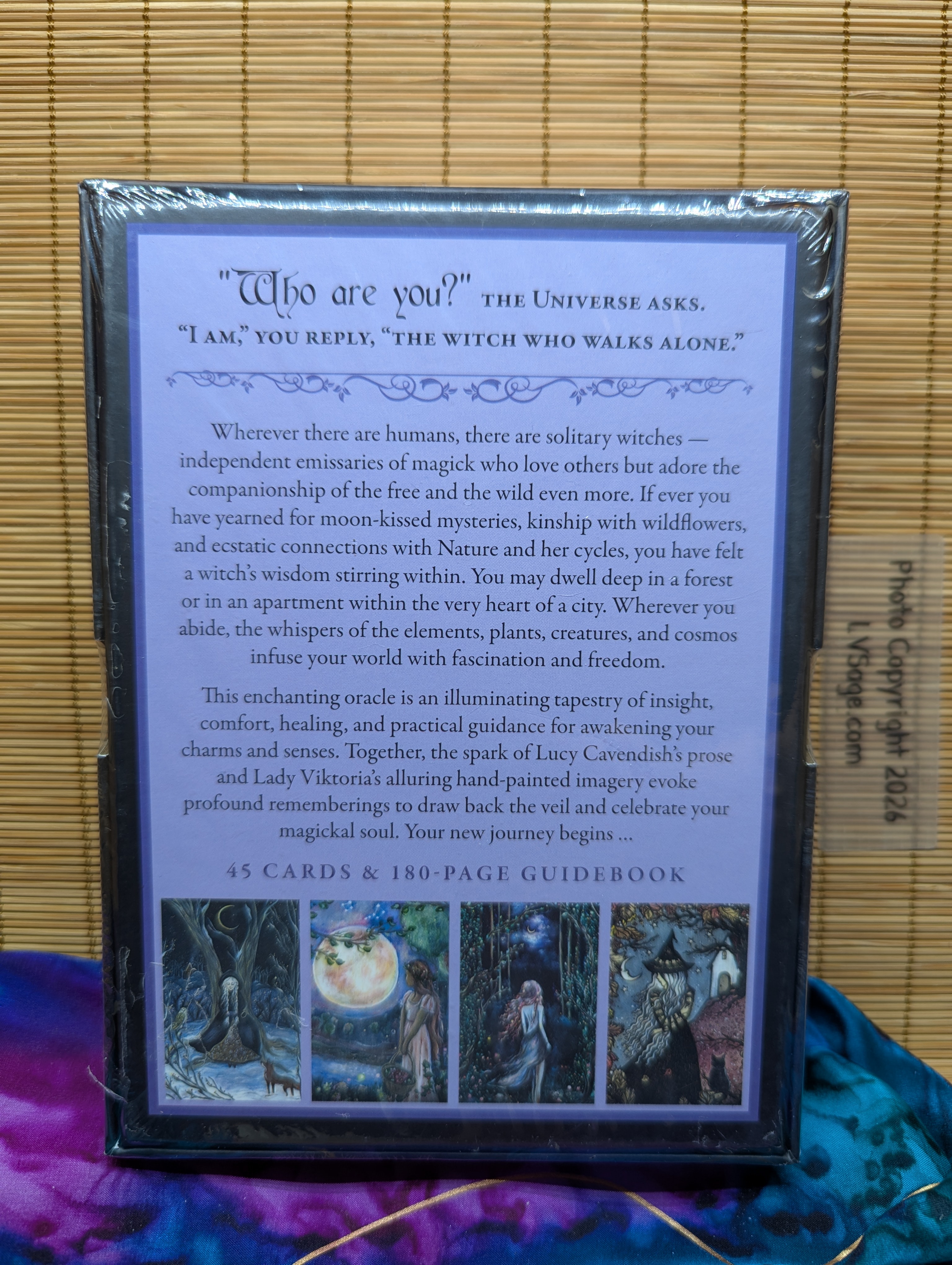 The Solitary Witch Oracle - Image 2