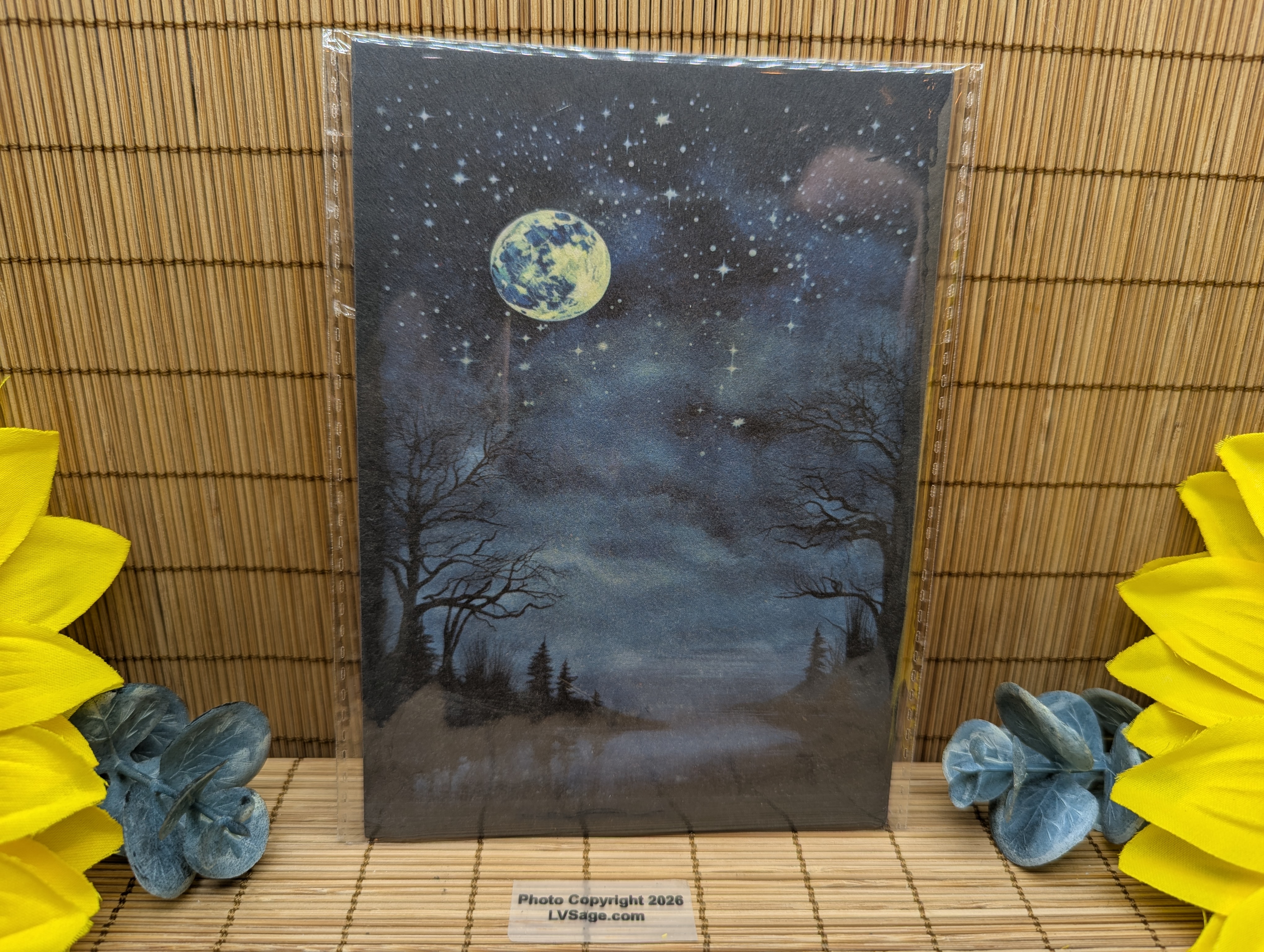 Moonlit Lake Spell Papers Set of Nine