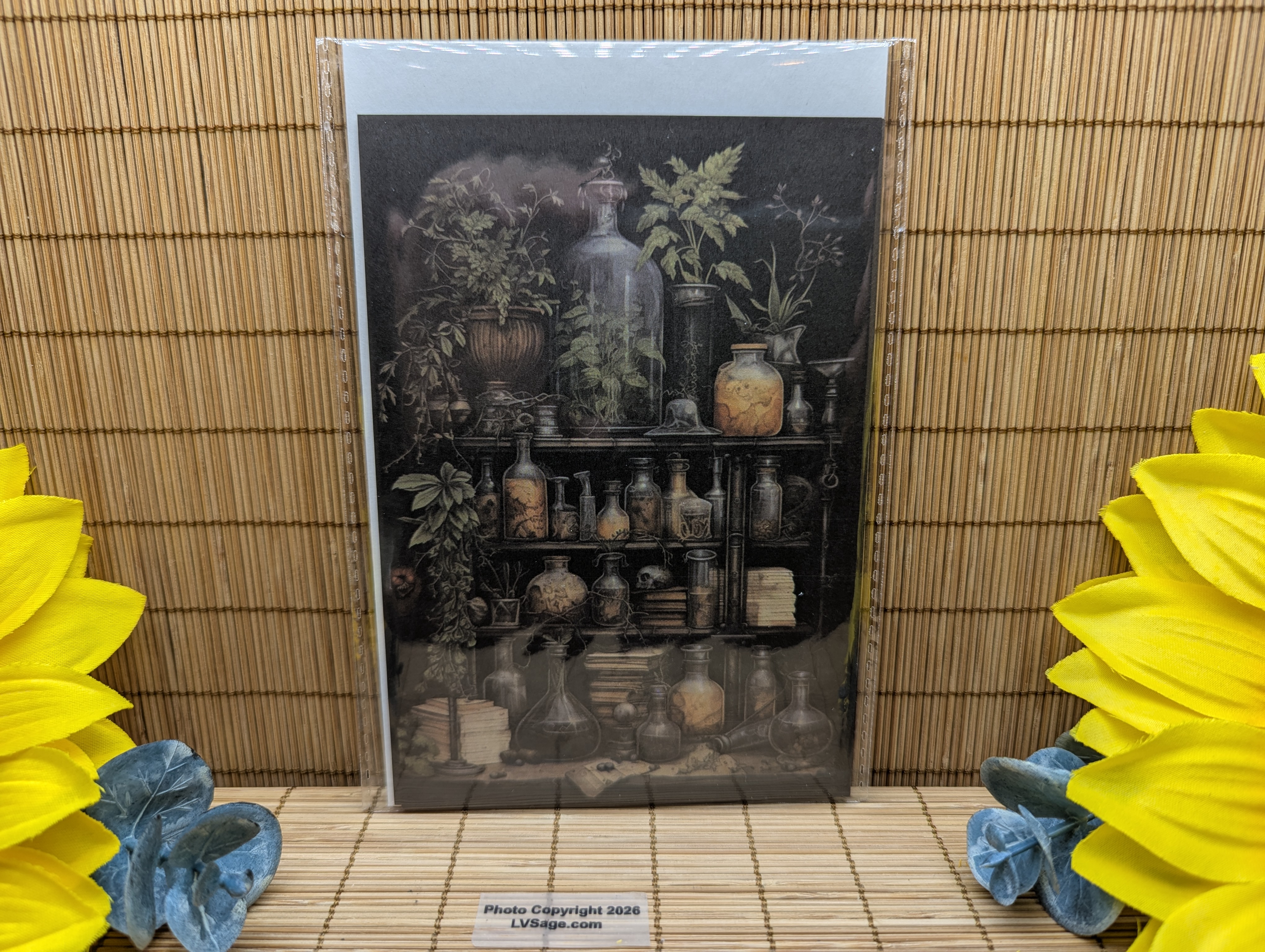 Herbal Skull Apothecary Spell Papers Set of Nine