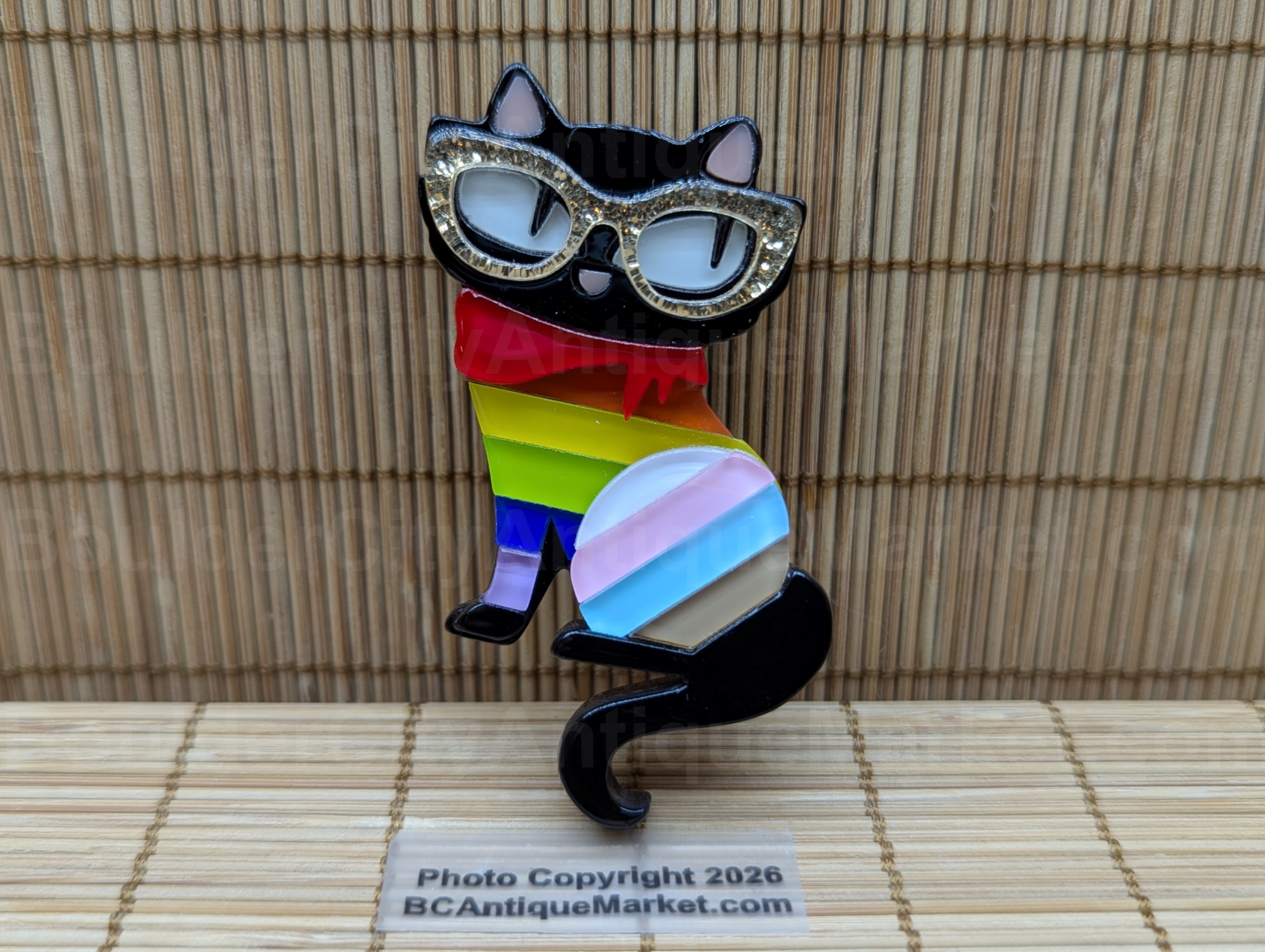 Pride Cat Acrylic Brooch